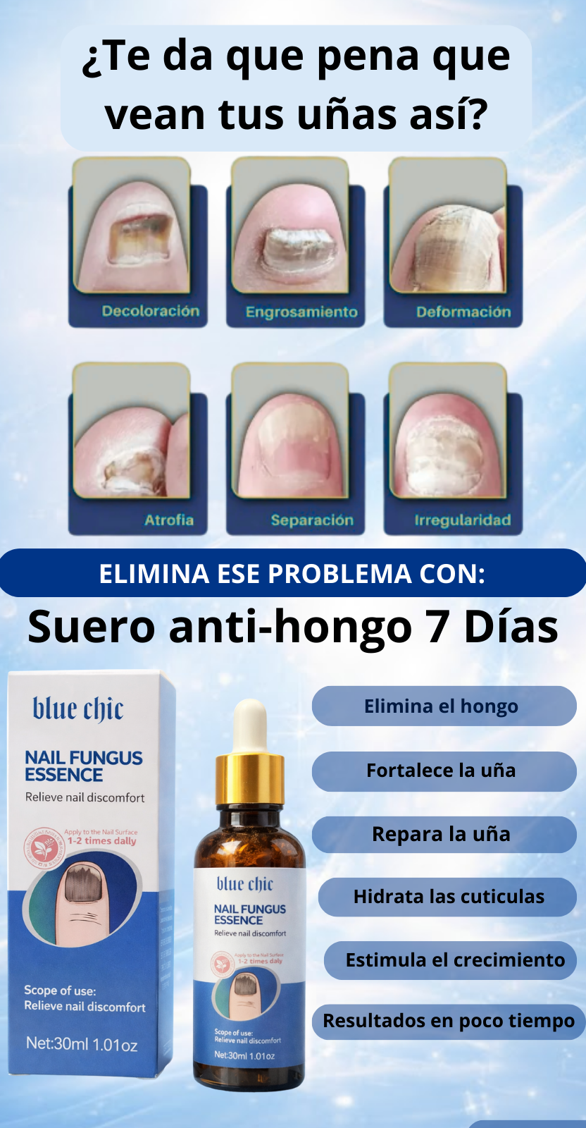 ANTIHONGOS BLUE CHIC